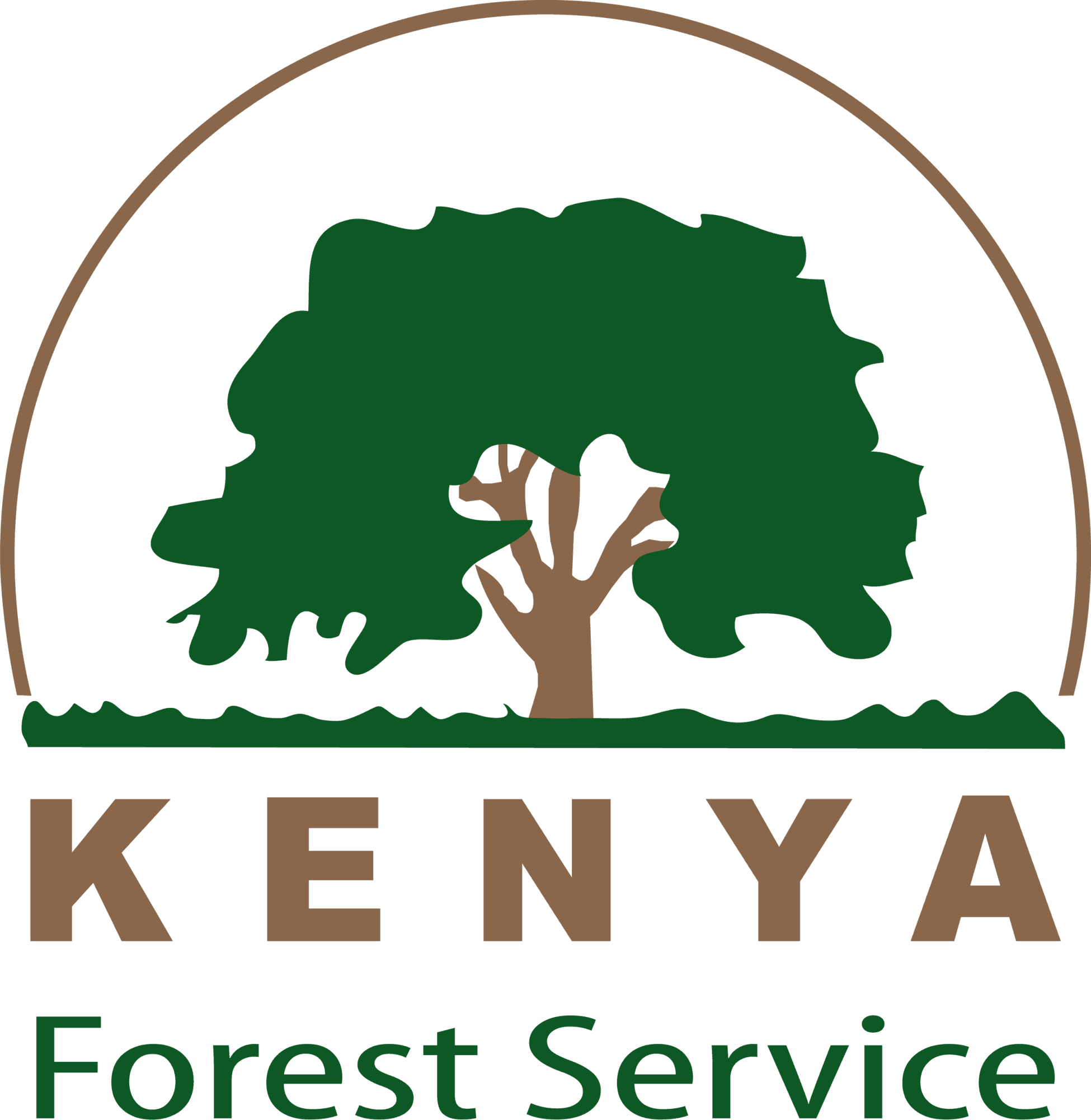 Kenya Forest Service